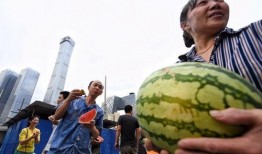 朝阳吃瓜群众,揭秘京城街头的热辣话题与趣味生活